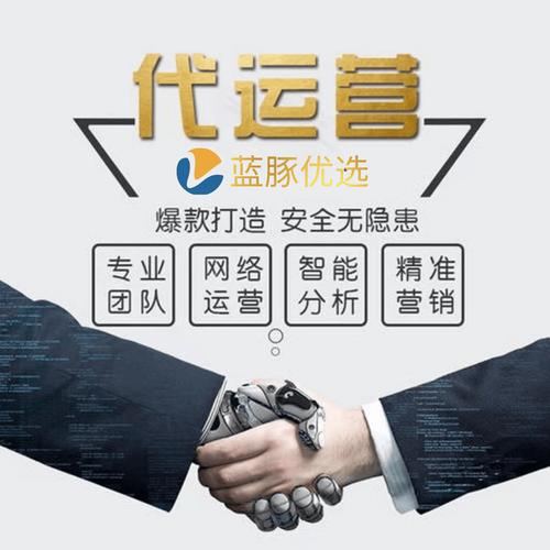 青島藍豚領跑盤點 電商代運營怎么選才靠譜？